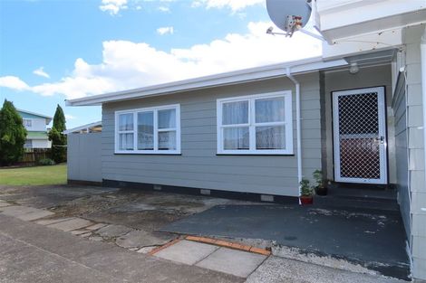 Photo of property in 95 Tiro Tiro Road, Levin, 5510