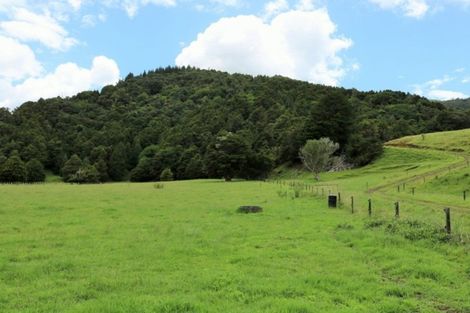 Photo of property in 1008 Tangowahine Valley Road, Tangowahine, Dargaville, 0372