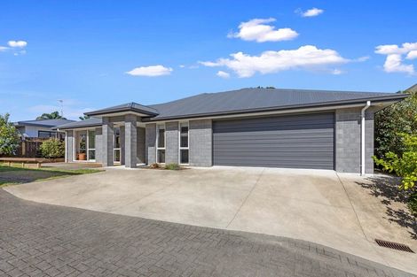 Photo of property in 19a Crescent Road, Otumoetai, Tauranga, 3110