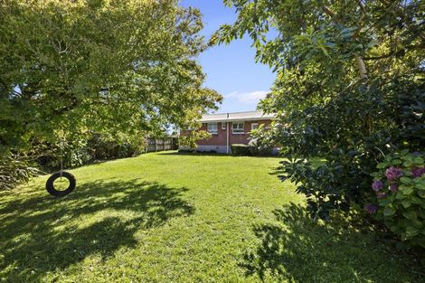 Photo of property in 252 Huatoki Street, Upper Vogeltown, New Plymouth, 4310