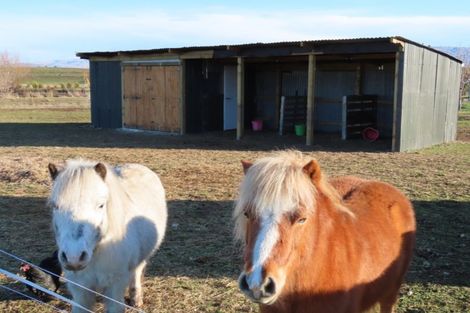 Photo of property in 14 Golden Road, Springvale, Alexandra, 9393