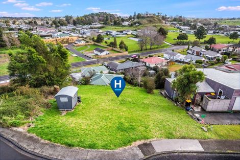 Photo of property in 19 Ohinemuri Place, Paeroa, 3600