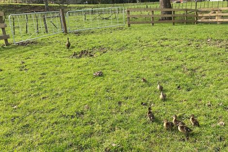 Photo of property in 88 Clark Road, Ngaruawahia, 3793