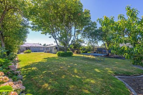 Photo of property in 8 Derby Street, Feilding, 4702