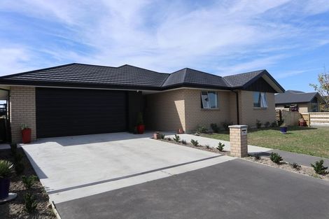 Photo of property in 79 Sunline Avenue, Lincoln, 7608