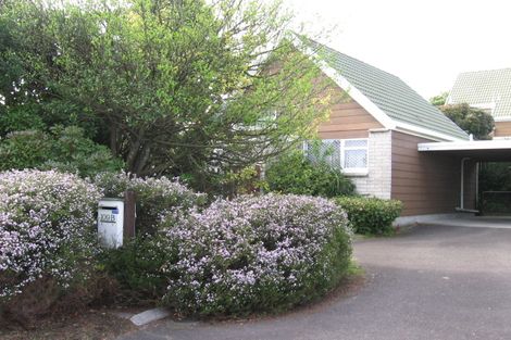 Photo of property in 109b Maungatapu Road, Maungatapu, Tauranga, 3112
