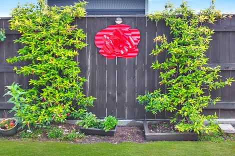 Photo of property in 10 Godwit Court, Foxton Beach, Foxton, 4815