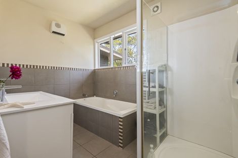 Photo of property in 187 The Terrace, Ashhurst, 4810