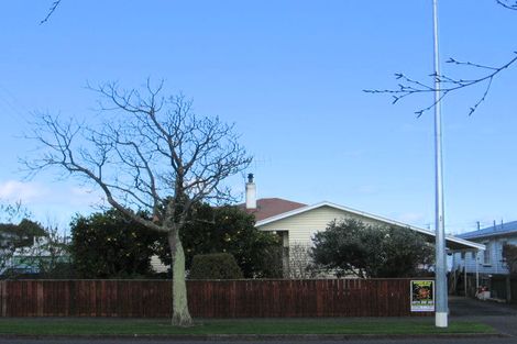 Photo of property in 111 Queen Street West, Levin, 5510