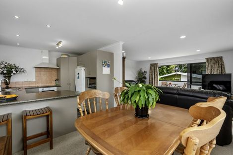 Photo of property in 295a Waihi Road, Judea, Tauranga, 3110