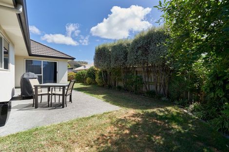 Photo of property in 11b Merlot Drive, Greenmeadows, Napier, 4112