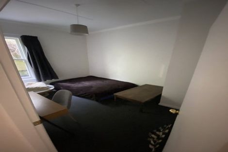 Photo of property in 37 Plunket Street, Kelburn, Wellington, 6012