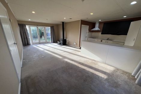 Photo of property in 111 Limbrick Street, Terrace End, Palmerston North, 4410