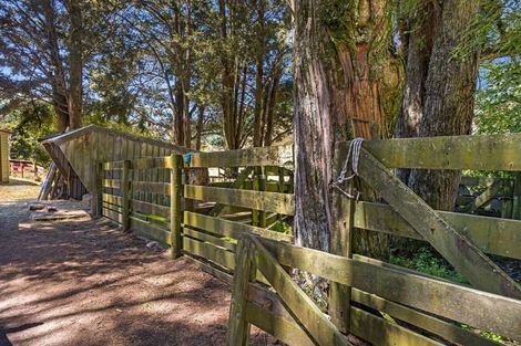 Photo of property in 44 Wairoa Gorge Road, Wairoa Valley, Brightwater, 7091