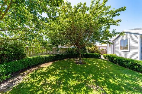 Photo of property in 15 Porritt Place, Waipukurau, 4200