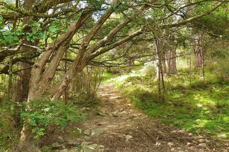 Photo of property in 1197 Horeke Road, Horeke, Okaihau, 0475