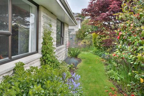 Photo of property in 119b Fitzroy Street, Forbury, Dunedin, 9012