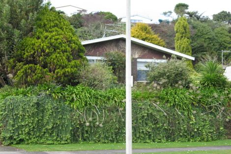 Photo of property in 19 Heaphy Street, Westown, New Plymouth, 4310