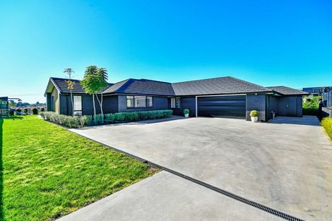 Photo of property in 29 Trevor Mcmiken Drive, Patumahoe, Pukekohe, 2679