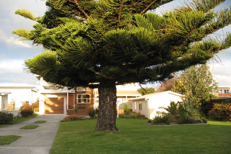 Photo of property in 228 Rangi Avenue, Whangamata, 3620