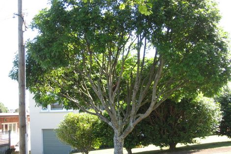 Photo of property in 6 Mountfield Terrace, Mount Albert, Auckland, 1025