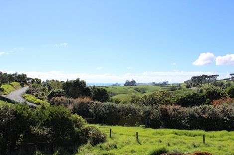 Photo of property in 29 Washer Road, Omata, New Plymouth, 4374