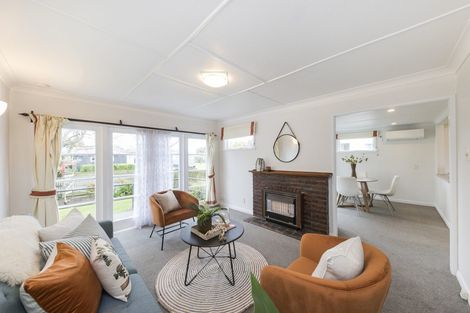 Photo of property in 10 Salisbury Avenue, Terrace End, Palmerston North, 4410