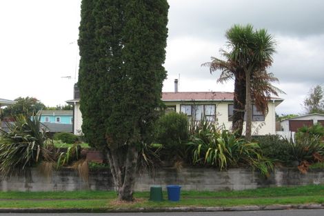 Photo of property in 147 Papanui Street, Tokoroa, 3420