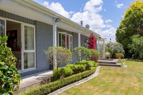 Photo of property in 148ab Colombo Road, Masterton, 5810