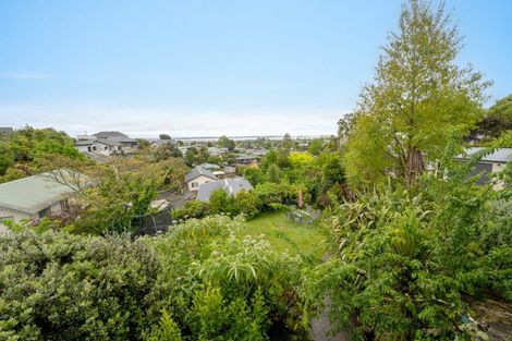 Photo of property in 1 Warwick Street, Richmond, 7020