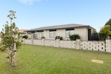 Photo of property in 203a Grenada Street, Mount Maunganui, 3116