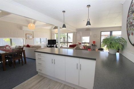 Photo of property in 9 Logan Place, Blenheim, 7201
