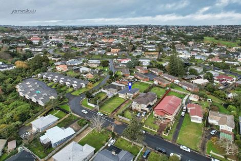 Photo of property in 50 Webster Avenue, Mount Roskill, Auckland, 1041