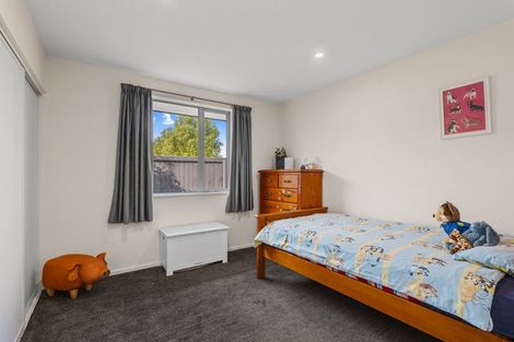 Photo of property in 30 Whitehorn Drive, Lincoln, 7608