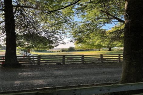 Photo of property in Long Cottage Gallery, 145 Iona Road, Havelock North, 4130