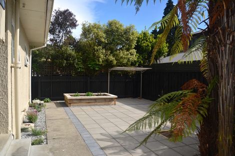 Photo of property in 196 Milton Street, The Wood, Nelson, 7010