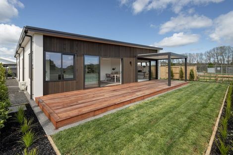 Photo of property in 58 Saint Pauls Drive, Brookfield, Tauranga, 3110