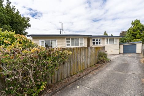 Photo of property in 38 Mansel Avenue, Hillcrest, Hamilton, 3216