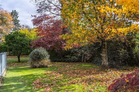 Photo of property in 55 College Street, Masterton, 5810