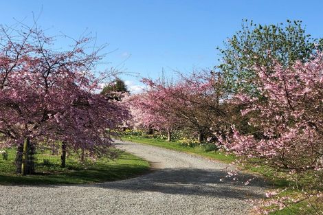 Photo of property in 37 Kerrytown Road, Levels, Timaru, 7975
