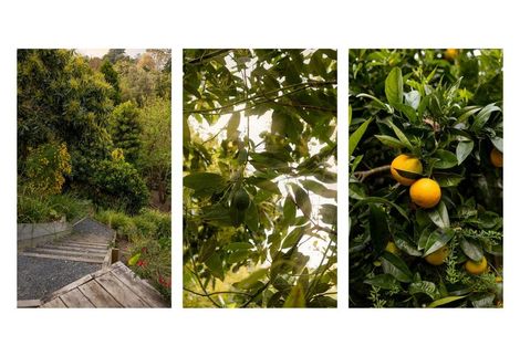 Photo of property in 24 Claremont Terrace, Otumoetai, Tauranga, 3110