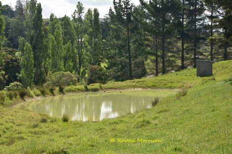 Photo of property in 69 Matakohe Wharf Road, Matakohe, 0593