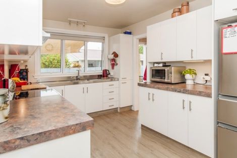 Photo of property in 22 Taumutu Road, Southbridge, 7602