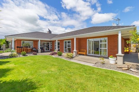 Photo of property in 15 Okarito Avenue, Levin, 5510