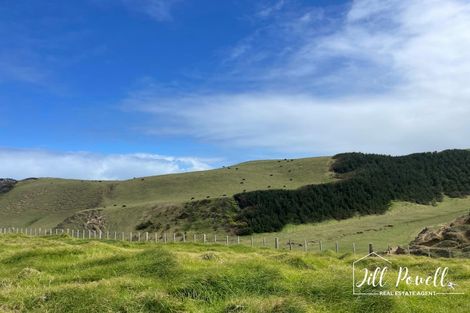 Photo of property in 7 Snapper Street, Baylys Beach, 0377