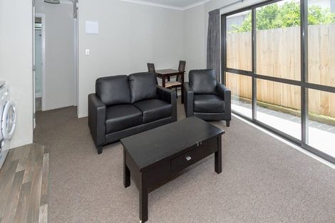 Photo of property in 62 Willoughby Street, Whitiora, Hamilton, 3200