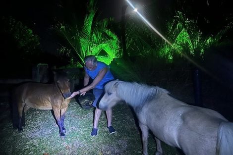 Photo of property in 25 Seamore Rise, Waipu, 0582