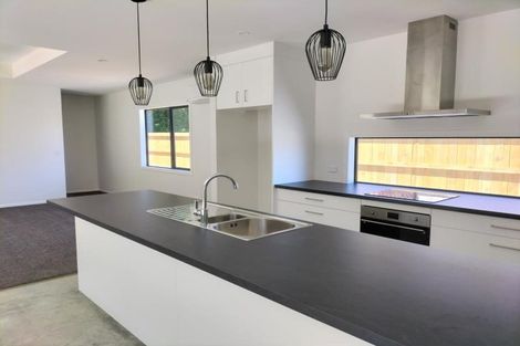 Photo of property in 59b Pharazyn Street, Feilding, 4702