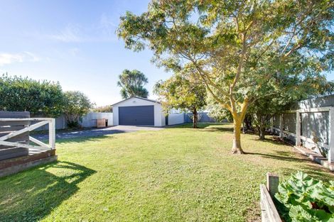 Photo of property in 91 Masefield Avenue, Maraenui, Napier, 4110