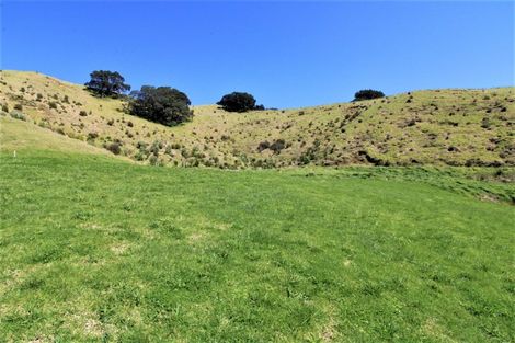 Photo of property in 16 Joyce Place, Opito Bay, Whitianga, 3592